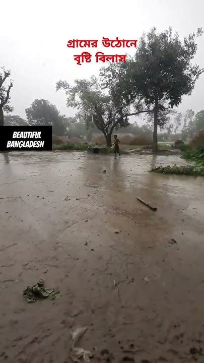 গ্রামের উঠোনে অনেকদিন পর বৃষ্টি বিলাস অনেক মিস করি ছোটবেলার বৃষ্টি