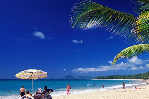 Plage Des Salines Martinique Sainte Anne