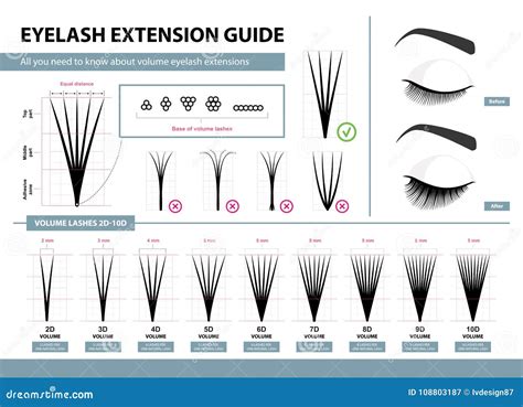 Eyelash Extension Guide Volume Eyelash Extensions 2d 10d Volume Tips And Tricks Stock