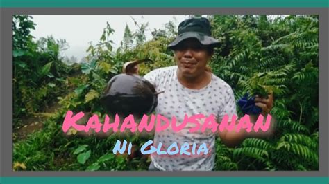 Ang Masipag Na Si Kahandusanang Gloria Youtube