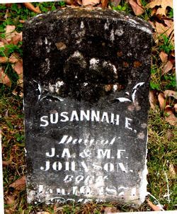 Susannah E Johnson 1871 Sconosciuto Monumento Find A Grave