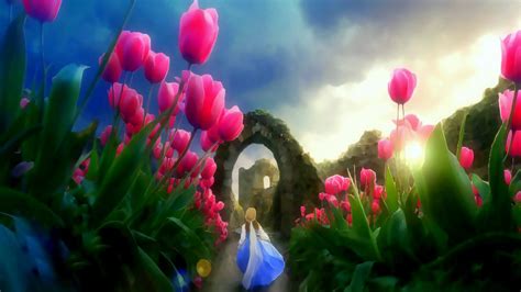 Tulips Wallpapers | Best Wallpapers