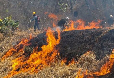 Bolivia Registra 26 Incendios Forestales 17 En Santa Cruz