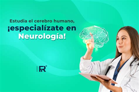 Estudia El Cerebro Humano Especial Zate En Neurolog A Futuros