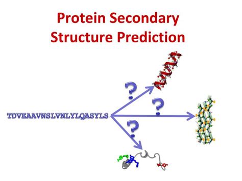 Ppt Protein Secondary Structure Prediction Powerpoint Presentation