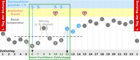 Was Dir Eisprung Tr Ume Sagen Wollen Schwangerwerden Tipps