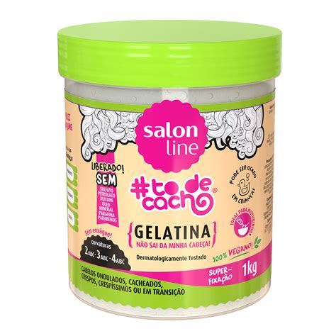 Gelatina Salon Line Todecacho Super Definição 1kg Cigana Beleza