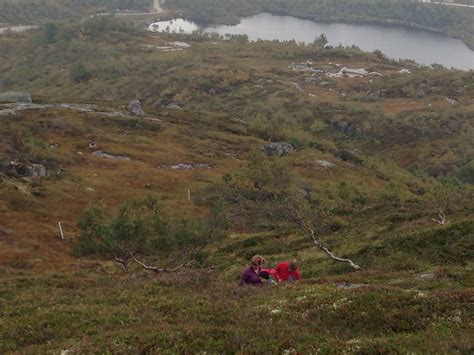 Dneram Tor Arne Jensen Flickr