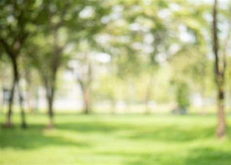 Imágenes De Jardin Desenfocado Descarga Gratuita En Freepik