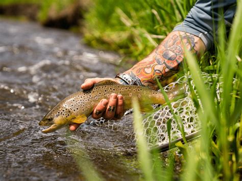 Montana Fly Fishing And Guided Rock Creek Fly Fishing Trips