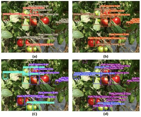 Yolo Object Detection Explained A Beginner S Guide Datacamp