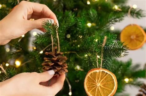 En qué fecha se arma el árbol de Navidad