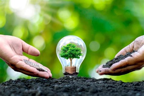 smart energy pentlands accountants