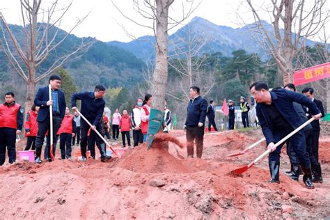 种下一棵树 结缘一座山 网红选手chatgpt今年给出了新推荐寿岳延寿村圣地