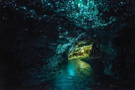 Hidden Caves To Spot Glow Worms In New Zealand Tourist Secrets