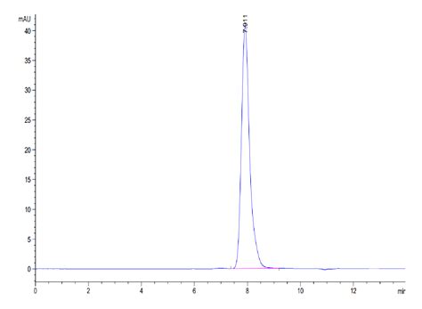 Human LAMP5 Protein (LAM-HM205) | KACTUS