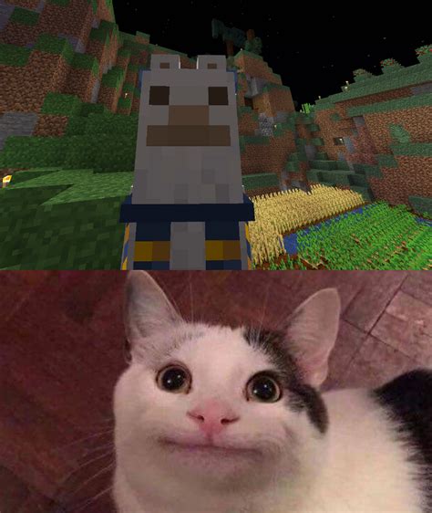 Man R Minecraftmemes