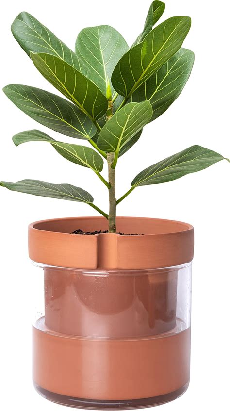 Amazon Oliz Plant Pots Indoor Inch Self Watering Plant Pot For