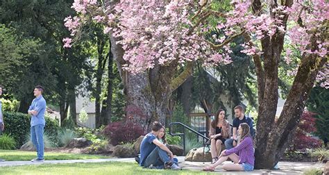 Corban University Named a “Tree Campus” by the Arbor Day Foundation | Corban University