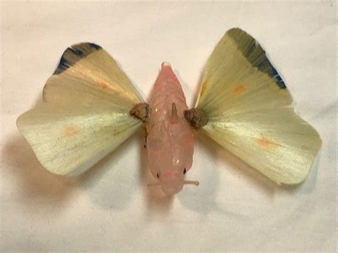 Rare Antique Blown Glass Butterfly Moth Ornament Tinted Spun Glass