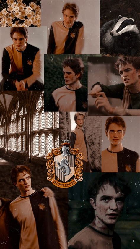 Cedric Diggory Hd Wallpaper Pxfuel