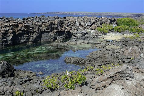 File Galápagos Inseln Ecuador 13894475171 Wikimedia Commons