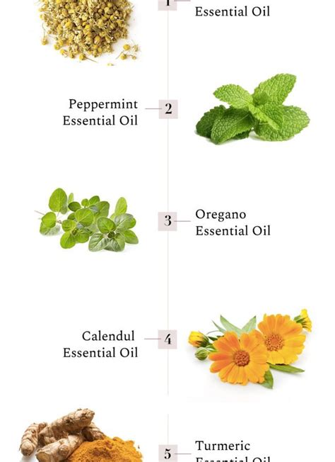 5 Healing Herbs For Any Ailment Healing Herbs Herbs Herbs List