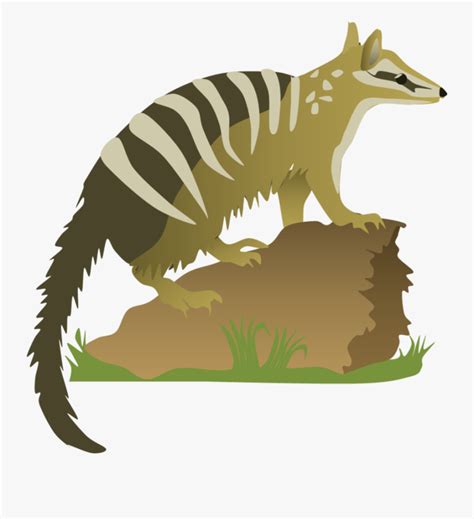 Clip Art Red Fox Marsupial Clip Numbat Png Free Transparent Clipart