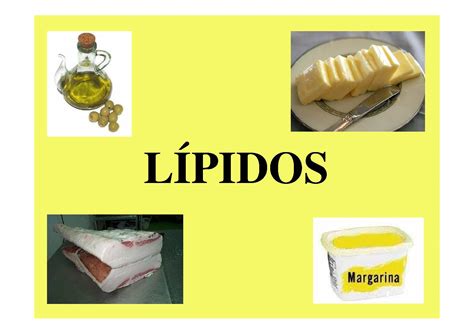 2º BAC AMPLIACION Presentacion T 04 Lipidos 2012 CALAMEO Downloader