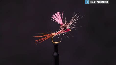 How To Tie The Gray Drake Spinner Dry Fly Pattern Trident Fly Fishing