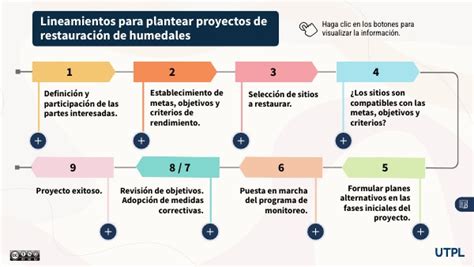 Lineamientos para plantear proyectos de restauración de humedales