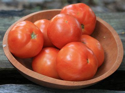 OTV Brandywine Tomato 72 Days Named And Released By Dr Carolyn Male