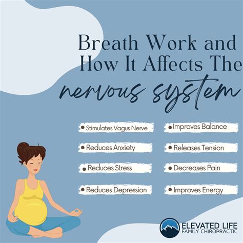 Breath Work And How It Affects The Nervous System Elevated Life