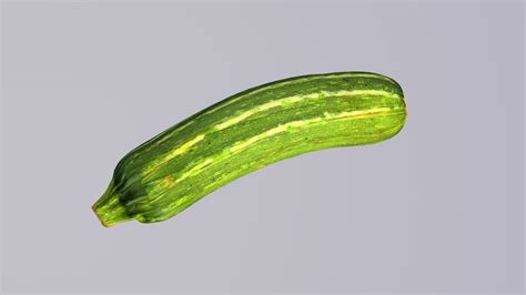 Zucchini 3d Model 3d Model Cgtrader