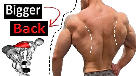 Workout For Back To Get Bigger Back How To Get A Bigger Back Back