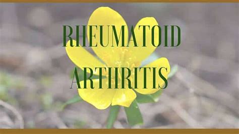 Natural Herbs For Rheumatoid Arthritis