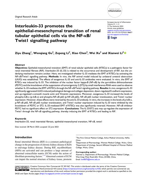 Pdf Interleukin Promotes The Epithelial Mesenchymal Transition Of