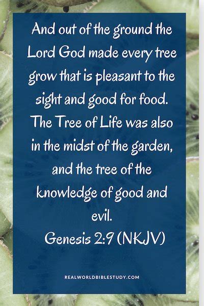 Bible Verses Describing The Garden Of Eden