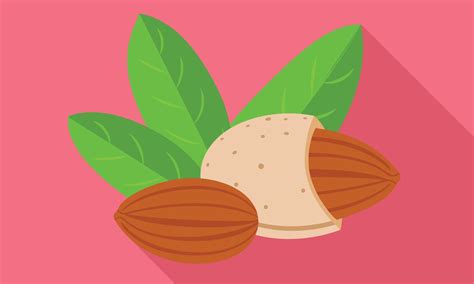 Almond Icon Flat Style 14192073 Vector Art At Vecteezy