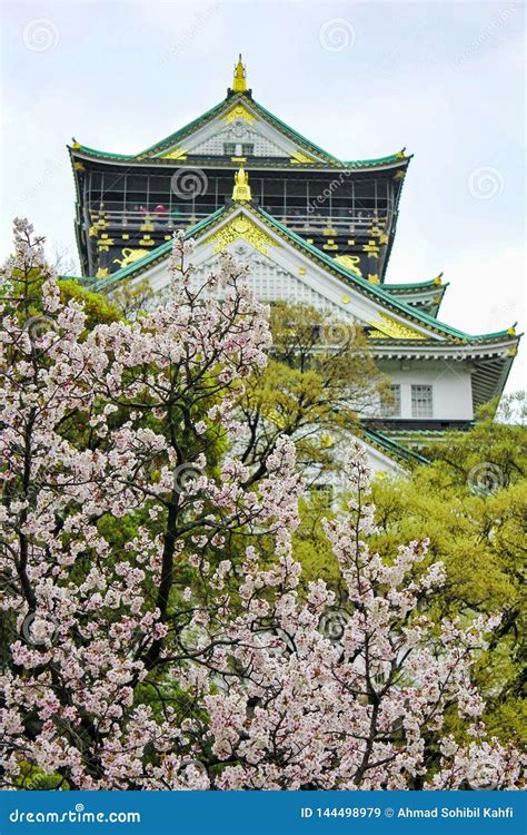 Sakura In Front Of Castle Stock Image Image Of Castle 144498979