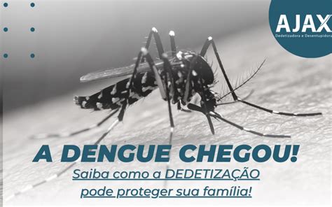 A Dengue Chegou Saiba Como A Dedetização Pode Proteger Sua Família