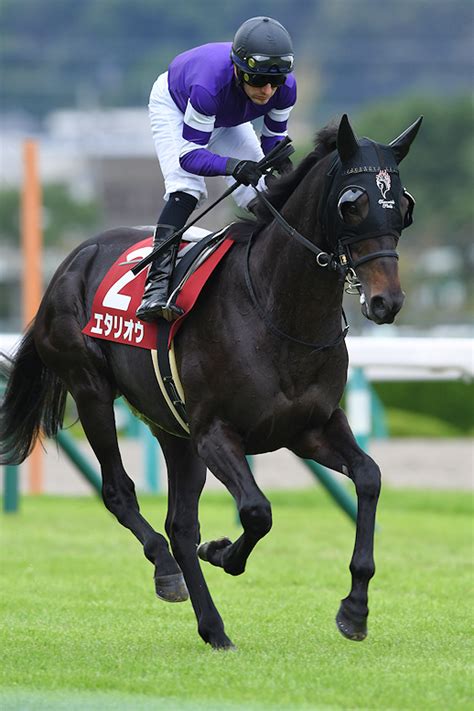 インタビュー 最強の1勝馬・エタリオウが、ヴェルサイユfに来た理由。 ウマフリ 競馬コラム＆ニュース