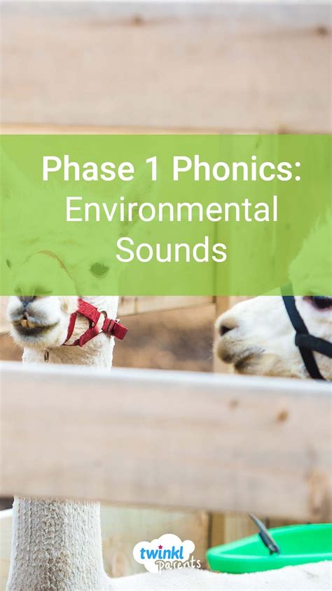 Phase 1 Phonics Environmental Sounds Artofit