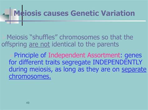 Chapter 11 Genetics Ppt Download