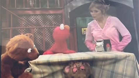 Sesame Street Elmos Potty Time Gina Helps Elmo And Baby Bear With