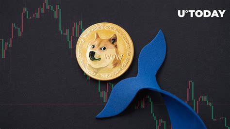 Dogecoin Whales Disappear After DOGE Meme Dog Kabosu's Passing