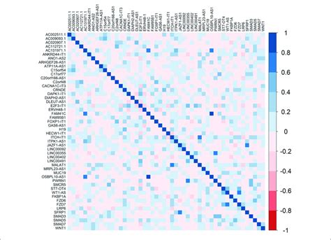 Heatmaps Showing The Correlation Between Hub Genes And Delncrnas