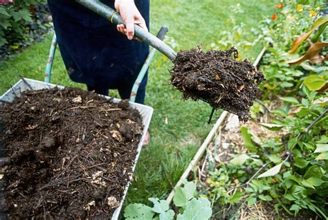 Winter Mulching In Cold Climate Gardens