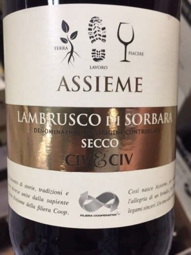 Assieme Lambrusco Di Sorbara Secco Vivino Us