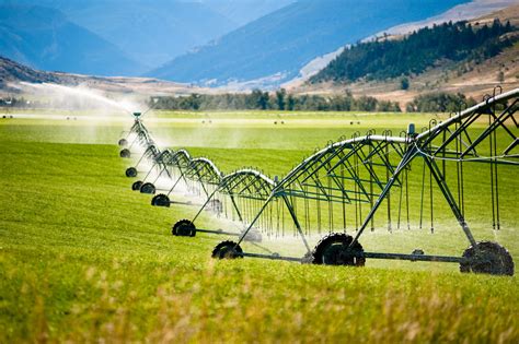 How Propane Farm Irrigation Systems Are More Efficient | Shipley Energy